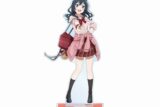 ラブライブ! ニジガク 描き下ろし 優木せつ菜 ギャル制服ver. BIGアクリルスタンド
 
2025年10月27日発売
で取扱中 (アニメイト)