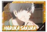 ウィンドブレイカー (ウィンブレ) ホログラム缶バッジ デザイン01(桜遥/A)【再販】
 
2025年09月下旬発売