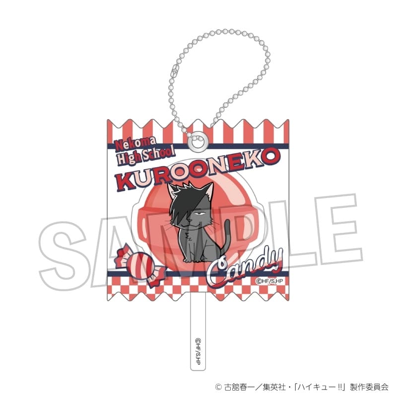 ハイキュー!! ラッピングアクリルキーホルダー クロオネコ
 アニメイトで
2025年10月発売