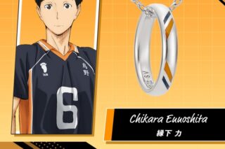 ハイキュー!! リングネックレス 烏野高校 シルバー 縁下 力
 
2025年07月中旬発売
で取扱中
