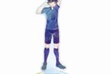 TVアニメ『ブルーロック』 描き下ろし 蜂楽 廻 試合前の準備中ver. Ani-Art clear label BIGアクリルスタンド
 
2025年11月7日発売
で取扱中