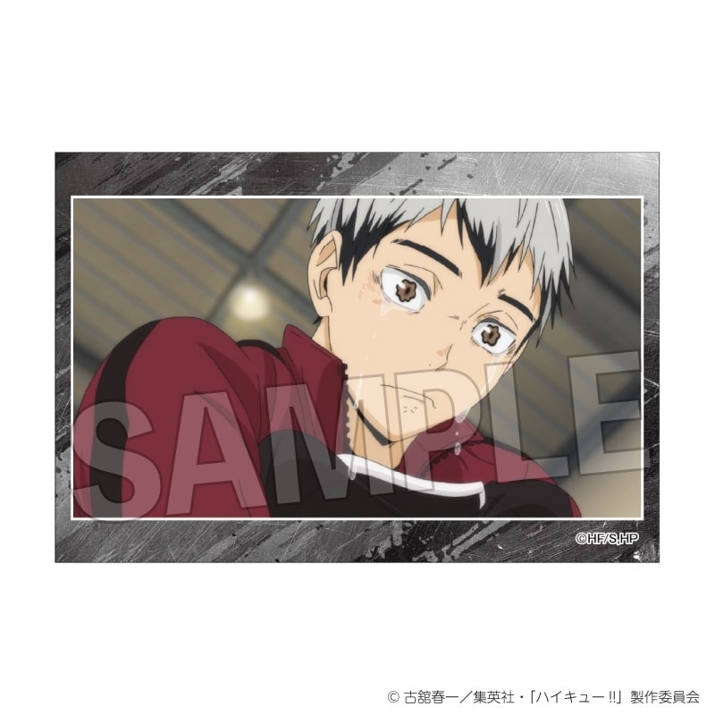 ハイキュー!! スタパネ ミニ vol.8 24
 アニメイトで
2025年10月発売