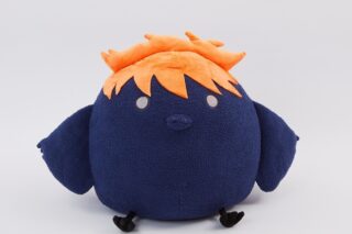 ハイキュー!! クッション ORN ヒナガラス【Palude】
 
2025年02月発売
で取扱中