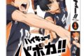 ハイキュー!! HV-D01 バボカ!! BREAK スターターデッキ 烏野高校(仮)
 アニメイトで
2025年10月25日発売