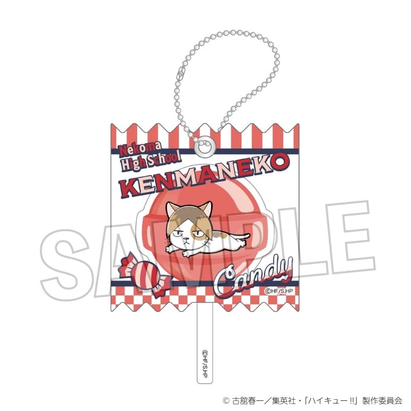 ハイキュー!! ラッピングアクリルキーホルダー ケンマネコ
 アニメイトで
2025年10月発売