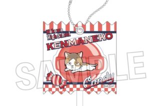 ハイキュー!! ラッピングアクリルキーホルダー ケンマネコ
 
2025年10月発売
で取扱中