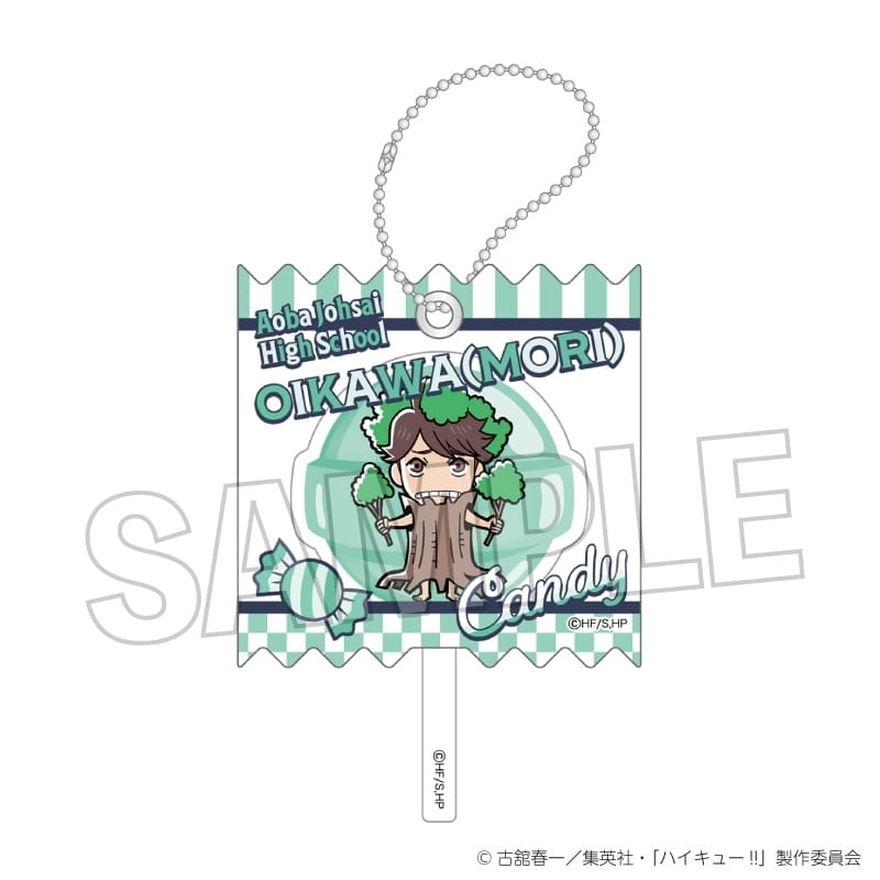 ハイキュー!! ラッピングアクリルキーホルダー オイカワ(森)
 
2025年10月発売
で取扱中