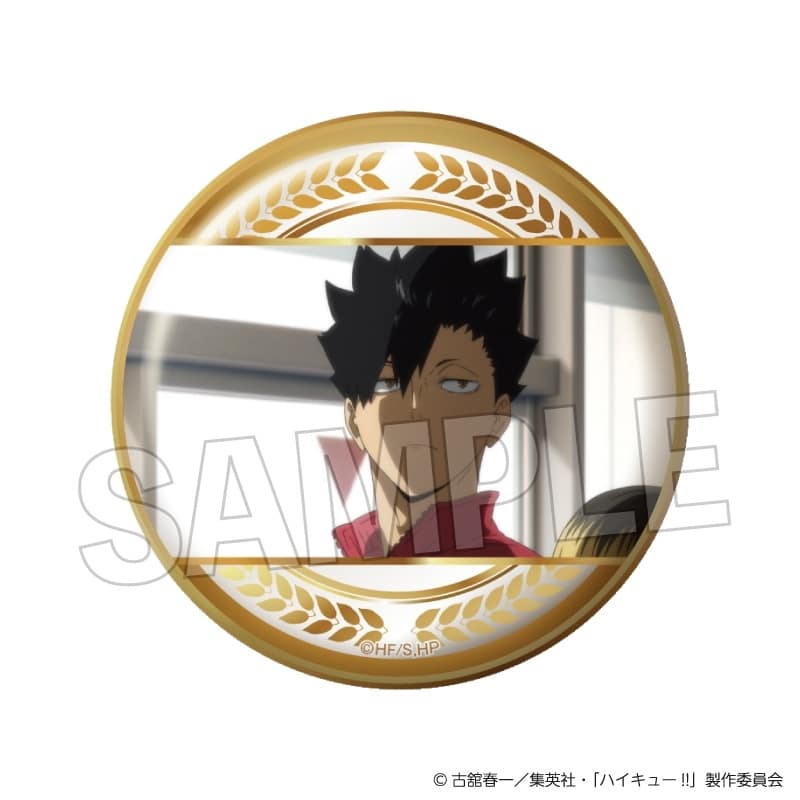 ハイキュー!! 場面写 ギラギラ缶バッジ vol.3 29
 
2025年10月発売
で取扱中