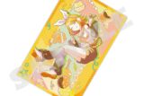 プロセカ Anniversary/Birthdayイラスト2023-2024 カード型アクリルスタンド 鏡音リン
 
2025年11月29日発売