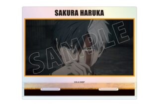 TVアニメ『ウィンドブレイカー (ウィンブレ)』 桜 遥 場面写オーロラアクリルスタンド
 
2025年10月27日発売