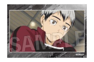 ハイキュー!! スタパネ ミニ vol.8 24
 
2025年10月発売
