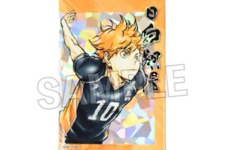 ハイキュー!! 激闘!!スタパネ 日向翔陽 キャラアニで
                                                2025年9月発売