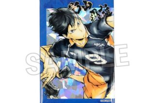 ハイキュー!! 激闘!!スタパネ 影山飛雄 キャラアニで
                                                2025年9月発売