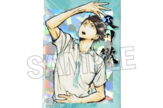 ハイキュー!! 激闘!!スタパネ 及川徹 キャラアニで
                                                2025年9月発売