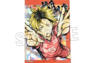 ハイキュー!! 激闘!!スタパネ 孤爪研磨 キャラアニで
                                                2025年9月発売