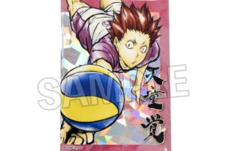 ハイキュー!! 激闘!!スタパネ 天童覚 キャラアニで
                                                2025年9月発売
