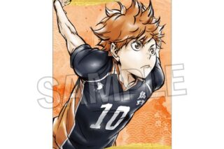 ハイキュー!! 激闘!!ペーパースタンド 日向翔陽 キャラアニで
                                                2025年9月発売