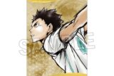 ハイキュー!! 激闘!!ペーパースタンド 岩泉一 キャラアニで
                                                2025年9月発売