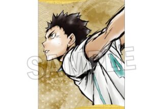 ハイキュー!! 激闘!!ペーパースタンド 岩泉一 キャラアニで
                                                2025年9月発売