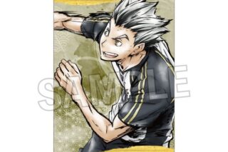 ハイキュー!! 激闘!!ペーパースタンド 木兎光太郎 キャラアニで
                                                2025年9月発売
