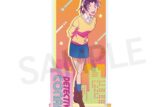 名探偵コナン スタイルアップシリーズVol.3 アクリルスタンド 遠山和葉 キャラアニで
                                                2025年10月発売