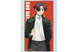 TVアニメ『ウィンドブレイカー (ウィンブレ)』 蘇枋 隼飛 オーロラカードステッカー
 
2025年10月27日発売