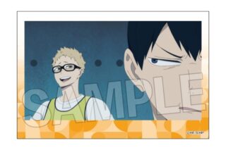 ハイキュー!! 積み積みブロック vol.8 23
 
2025年10月発売