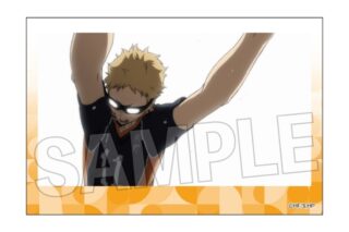 ハイキュー!! 積み積みブロック vol.8 20
 
2025年10月発売