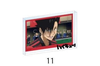 ハイキュー!! 場面写アクリルブロック 11
 アニメイトで
2025年10月上旬発売