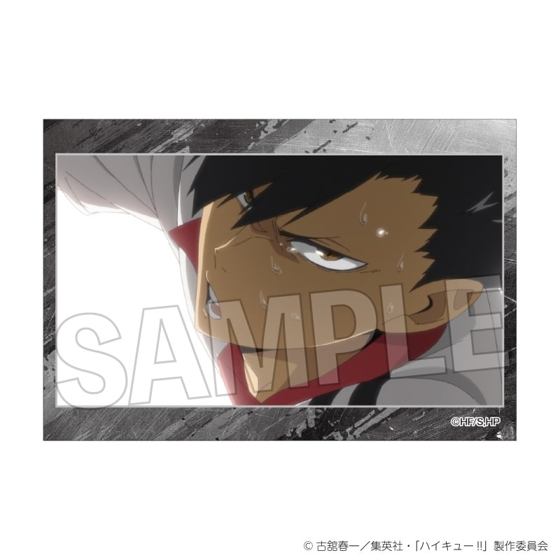 ハイキュー!! スタパネ ミニ vol.8 23
 
2025年10月発売