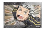 ハイキュー!! スタパネ ミニ vol.8 30
 
2025年10月発売
で取扱中