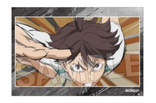 ハイキュー!! スタパネ ミニ vol.8 12
 
2025年10月発売