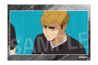 ハイキュー!! スタパネ ミニ vol.8 29
 
2025年10月発売
で取扱中