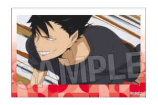 ハイキュー!! 積み積みブロック vol.8 14
 
2025年10月発売