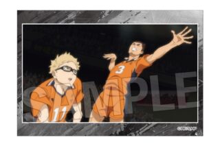 ハイキュー!! スタパネ ミニ vol.8 25
 
2025年10月発売
で取扱中