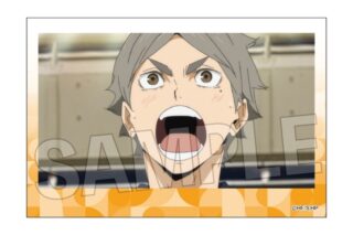 ハイキュー!! 積み積みブロック vol.8 24
 アニメイトで
2025年10月発売
