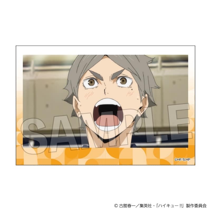 ハイキュー!! 積み積みブロック vol.8 24
 アニメイトで
2025年10月発売