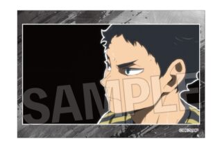 ハイキュー!! スタパネ ミニ vol.8 20
 
2025年10月発売
で取扱中