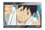 ハイキュー!! スタパネ ミニ vol.8 17
 
2025年10月発売
で取扱中