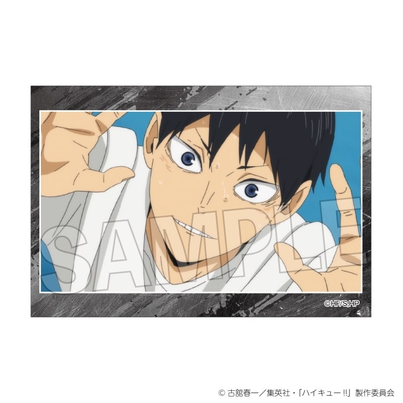 ハイキュー!! スタパネ ミニ vol.8 17
 
2025年10月発売
で取扱中