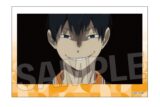 ハイキュー!! 積み積みブロック vol.8 6
 アニメイトで
2025年10月発売