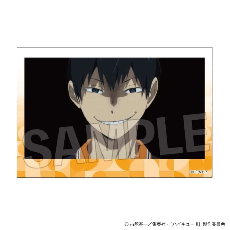 ハイキュー!! 積み積みブロック vol.8 6
 アニメイトで
2025年10月発売