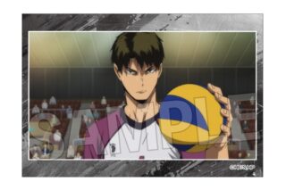 ハイキュー!! スタパネ ミニ vol.8 15
 
2025年10月発売
で取扱中