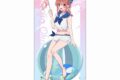 彼女、お借りします (かのかり) 描き下ろし特大タペストリー(桜沢墨/マリンセーラー水着)
 
2024年12月発売