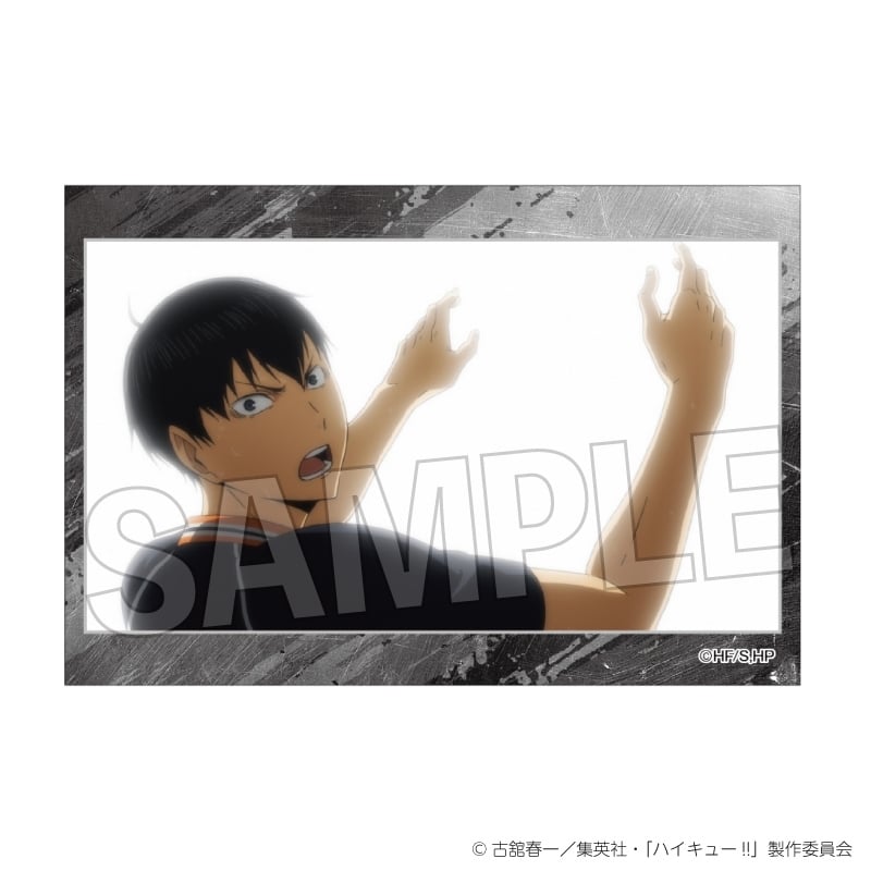 ハイキュー!! スタパネ ミニ vol.8 13
 
2025年10月発売
で取扱中