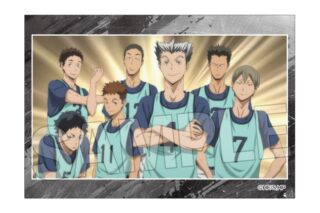 ハイキュー!! スタパネ ミニ vol.8 9
 
2025年10月発売
で取扱中