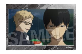 ハイキュー!! スタパネ ミニ vol.8 1
 
2025年10月発売
