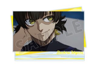 TVアニメ『ブルーロック』 蜂楽 廻 場面写BIGアクリルスタンド【再販】
 
2025年10月17日発売
で取扱中