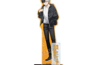 TVアニメ『ウィンドブレイカー (ウィンブレ)』 桜 遥 パーツ付きBIGアクリルスタンド vol.3
 
2025年10月27日発売