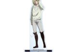 TVアニメ『進撃の巨人』 アニ BIGアクリルスタンド vol.3【再販】
 
2025年11月7日発売